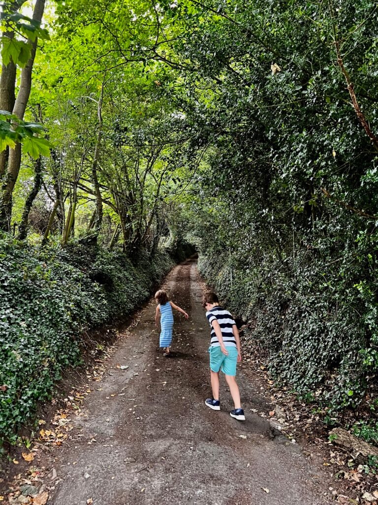 Family Walk from Brimscombe img 7730