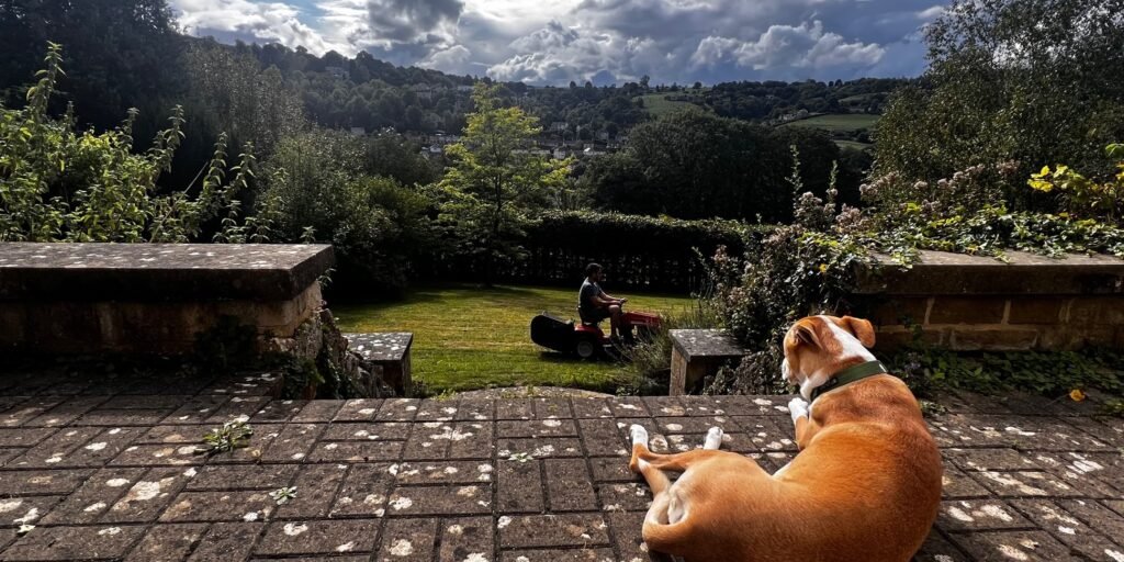 Cows, Hills, and Google Maps: Our First Weeks in the Cotswolds img 7974 header