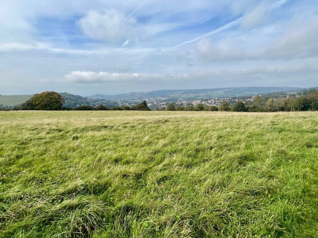 Family Walk from Brimscombe img 8249