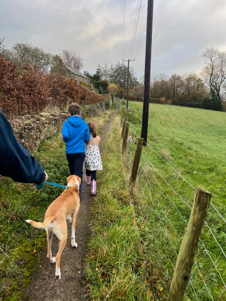 Family Walk from Brimscombe img 9187
